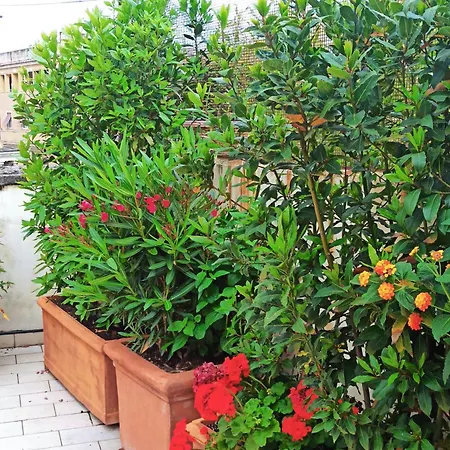 Apartamento Living By Vatican With Panoramic Terraces In