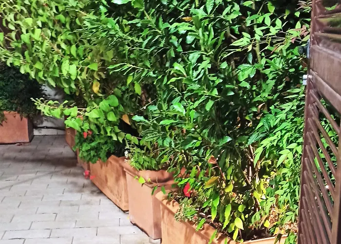 Apartment Living By Vatican With Panoramic Terraces In *