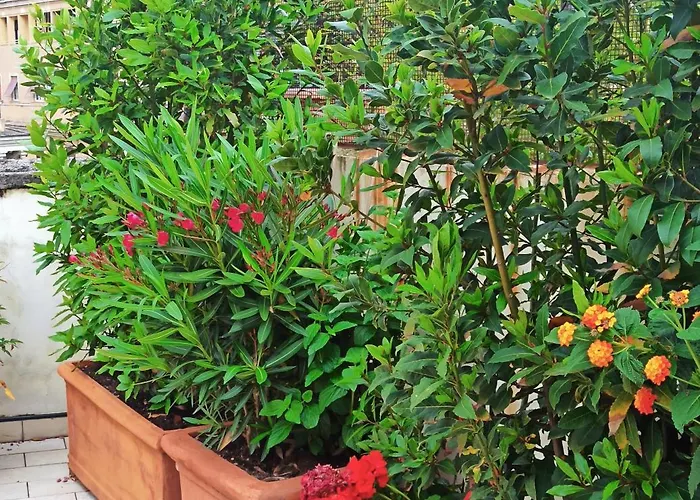 Apartment Living By Vatican With Panoramic Terraces In