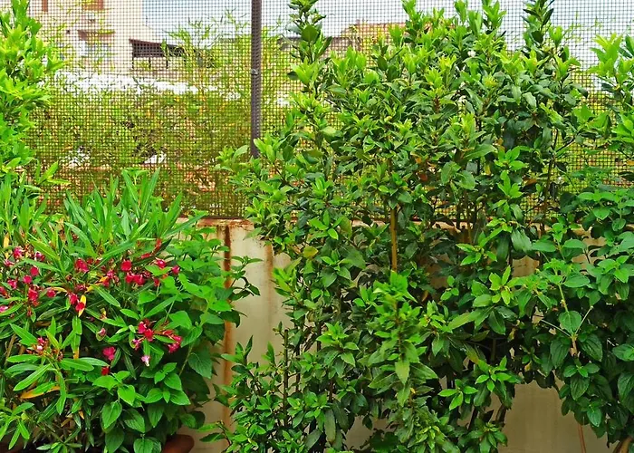 Living By Vatican With Panoramic Terraces In