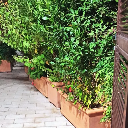 アパート Living By Vatican With Panoramic Terraces In *